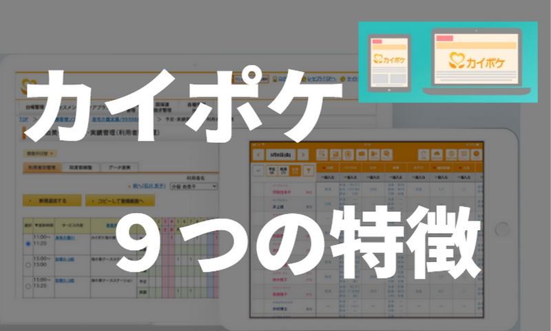 カイポケ９つの特徴